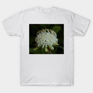 White Waratah 2014 T-Shirt